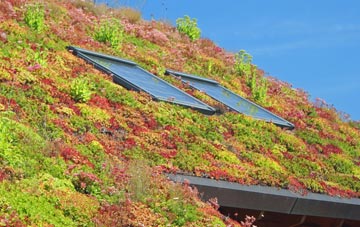 Dottery living roof systems