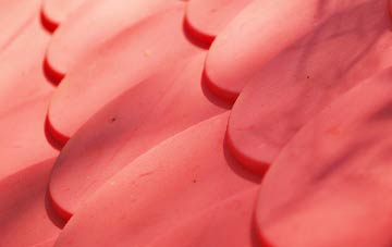 Dottery plastic roof costs