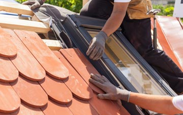 replacement Dottery roof windows