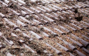 Dottery roof cleaning companies