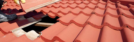 compare Dottery roof repair quotes
