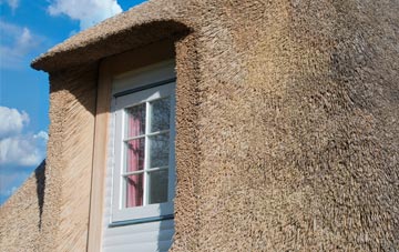 Dottery thatch roof disadvantages