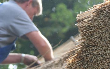 professional Dottery thatchers