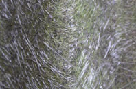 Dottery fibreglass roof work